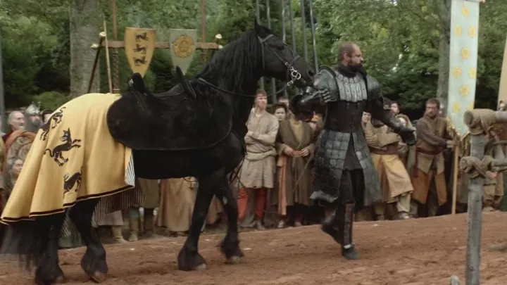 Casa Clegane — imagen 1