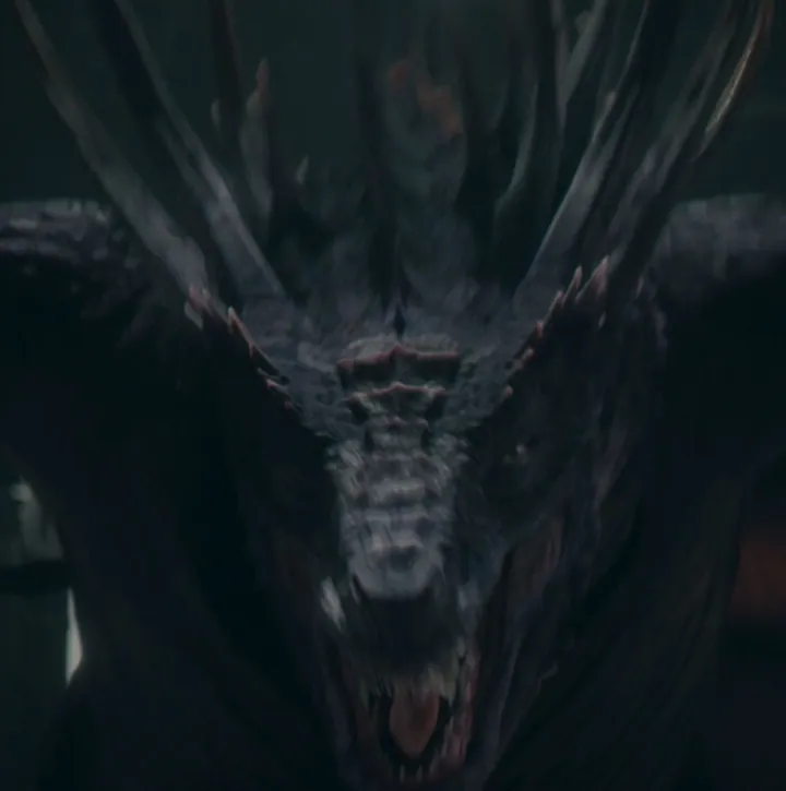 Sueñafuego — imagen 2