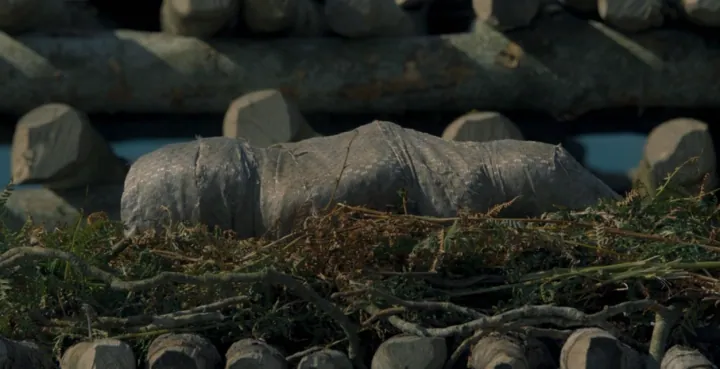 Baelon Targaryen — imagen 2