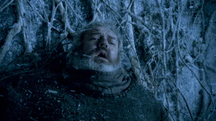 Hodor — imagen 2