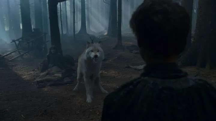 el Bosque de los Lobos — imagen 2