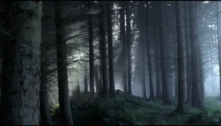 el Bosque de los Lobos — imagen 3