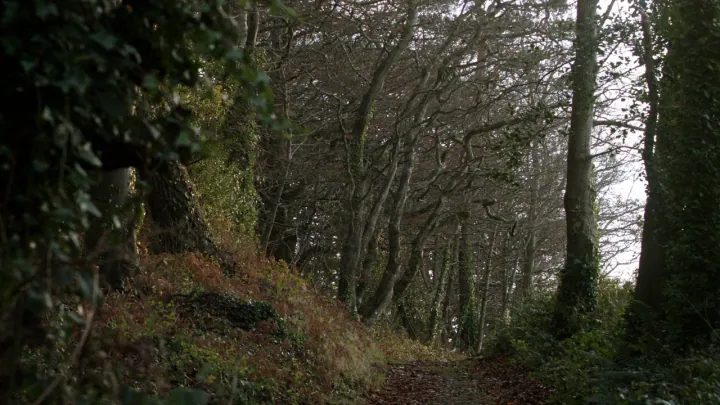 el Camino Alto — imagen 1