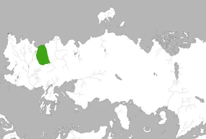 el Bosque de Qohor — imagen 1